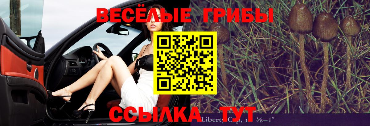 Ступино  закладка  Вход с VPN  Галлюциногенные грибы Psilocybe 